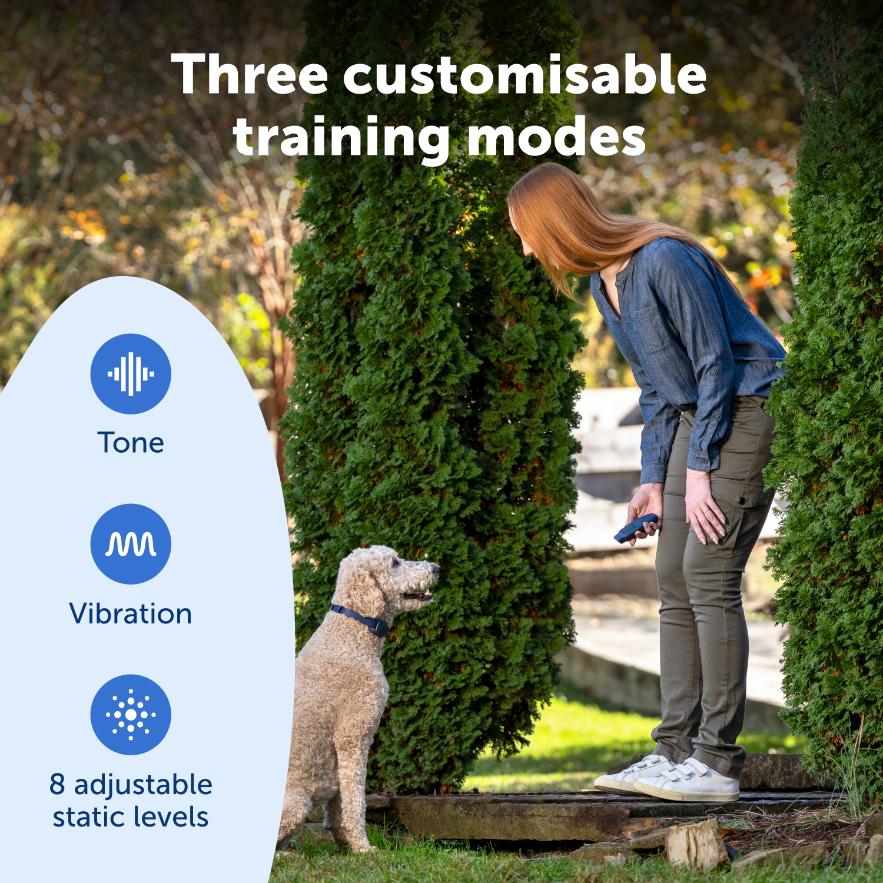 PetSafe Hondentrainer Basic met Afstandsbediening